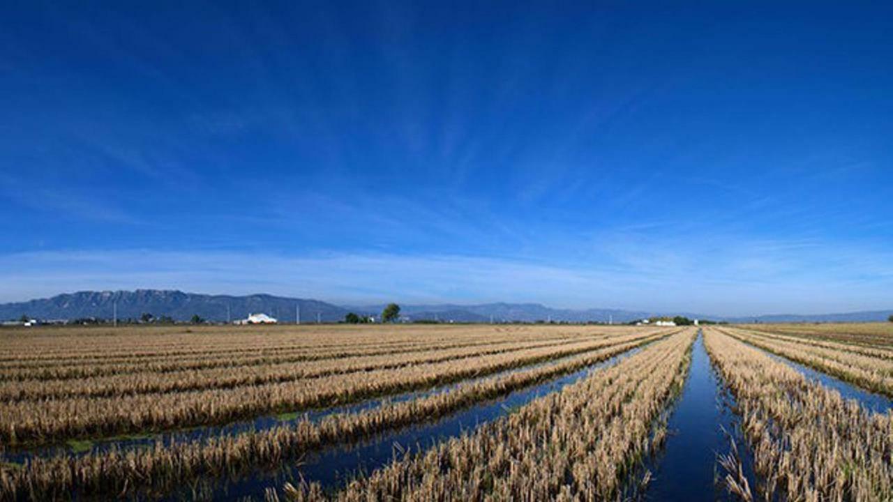 Mi Apartamento En El Delta Del Ebro+ ديلتيبري المظهر الخارجي الصورة