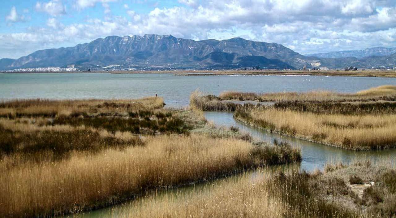 Mi Apartamento En El Delta Del Ebro+ ديلتيبري المظهر الخارجي الصورة