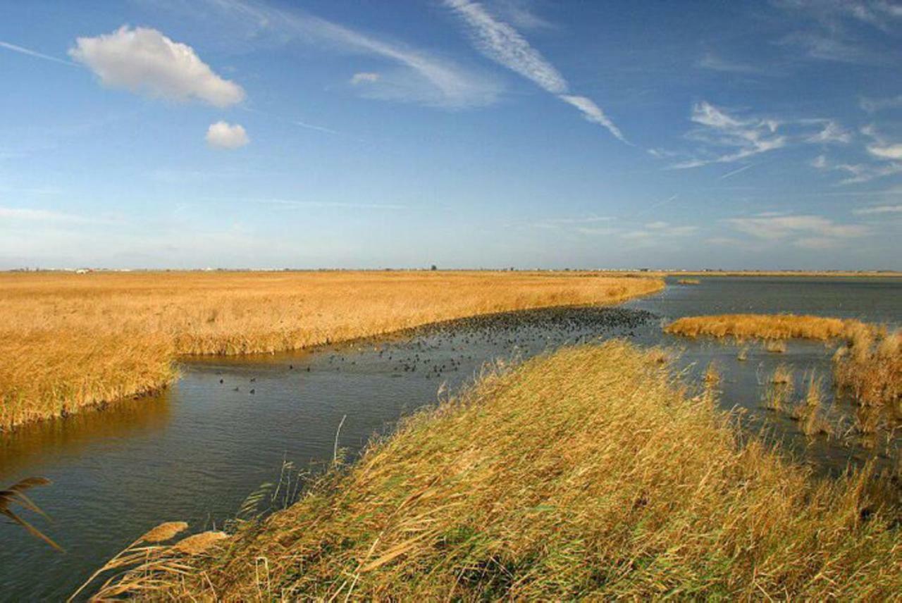 Mi Apartamento En El Delta Del Ebro+ ديلتيبري المظهر الخارجي الصورة