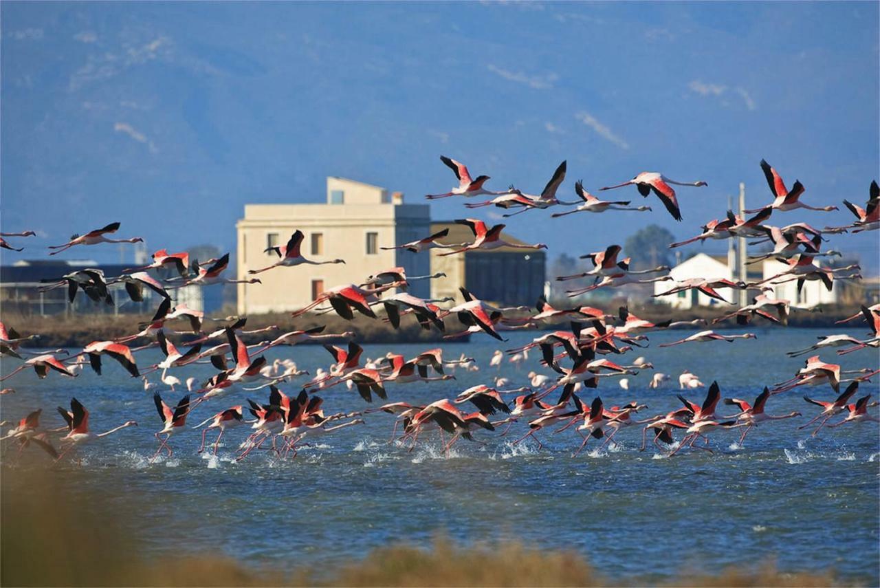 Mi Apartamento En El Delta Del Ebro+ ديلتيبري المظهر الخارجي الصورة