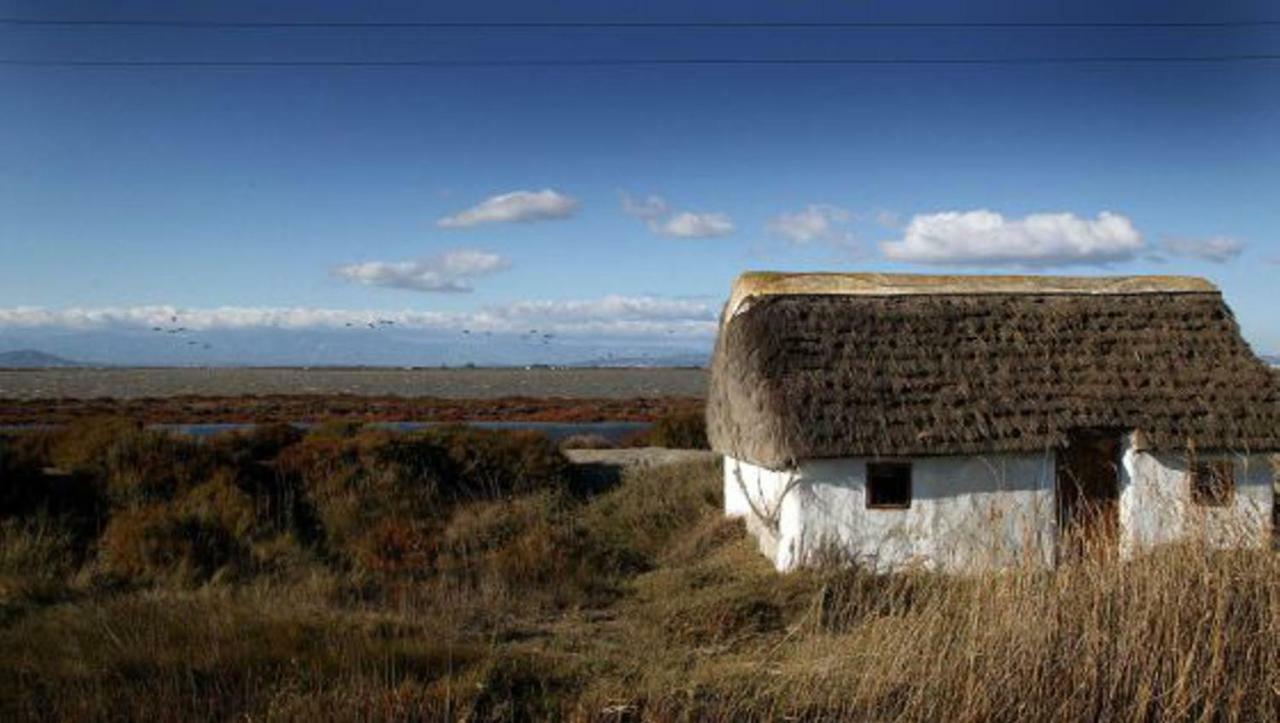 Mi Apartamento En El Delta Del Ebro+ ديلتيبري المظهر الخارجي الصورة