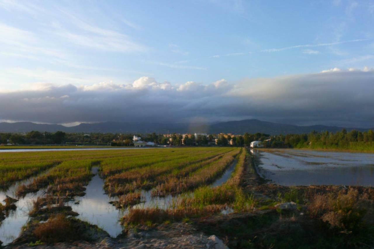 Mi Apartamento En El Delta Del Ebro+ ديلتيبري المظهر الخارجي الصورة